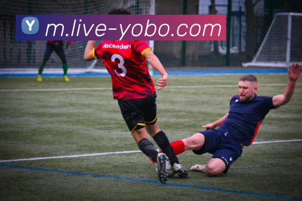 友博体育平台生态图